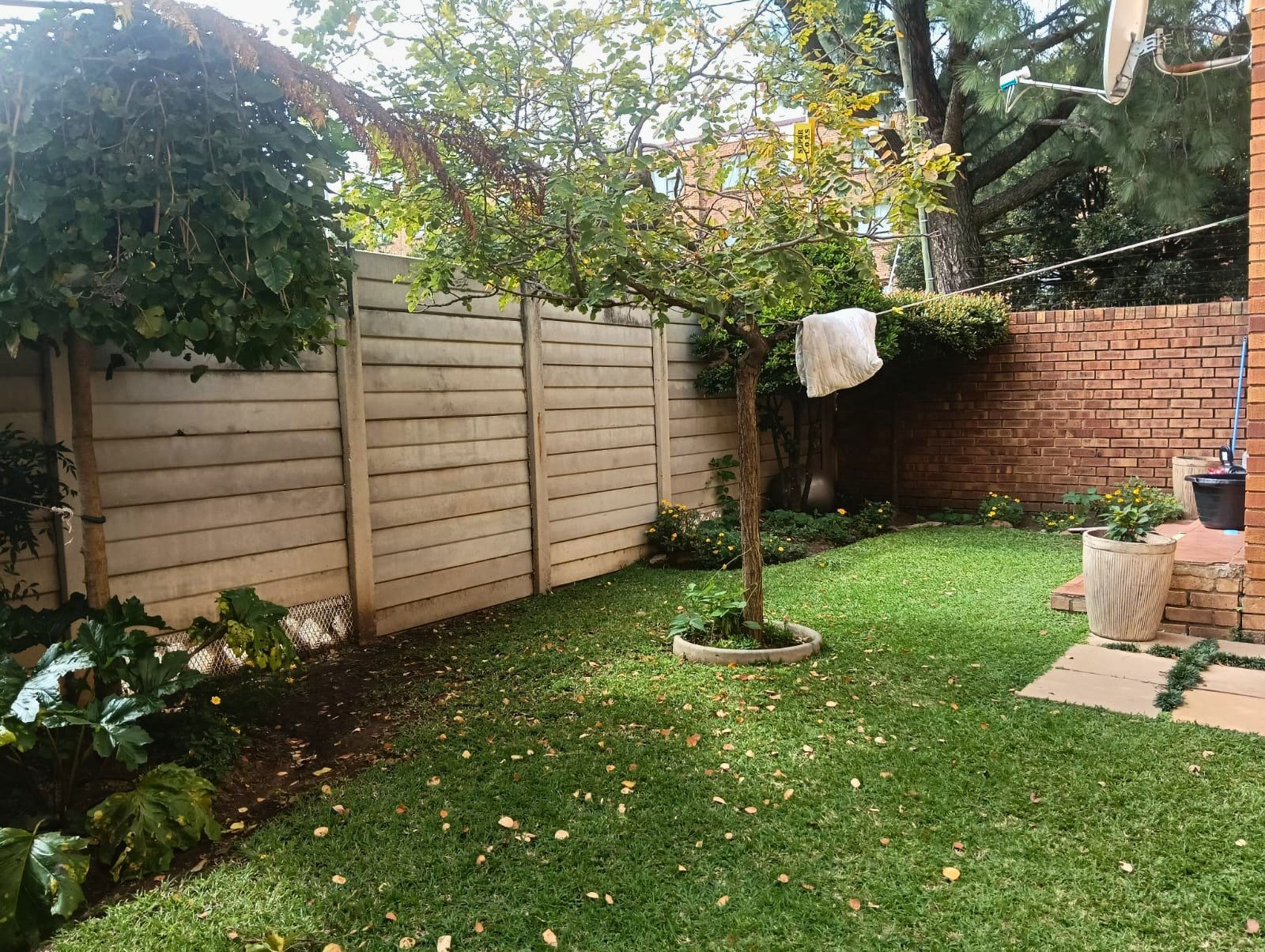 garden 2 – Edited