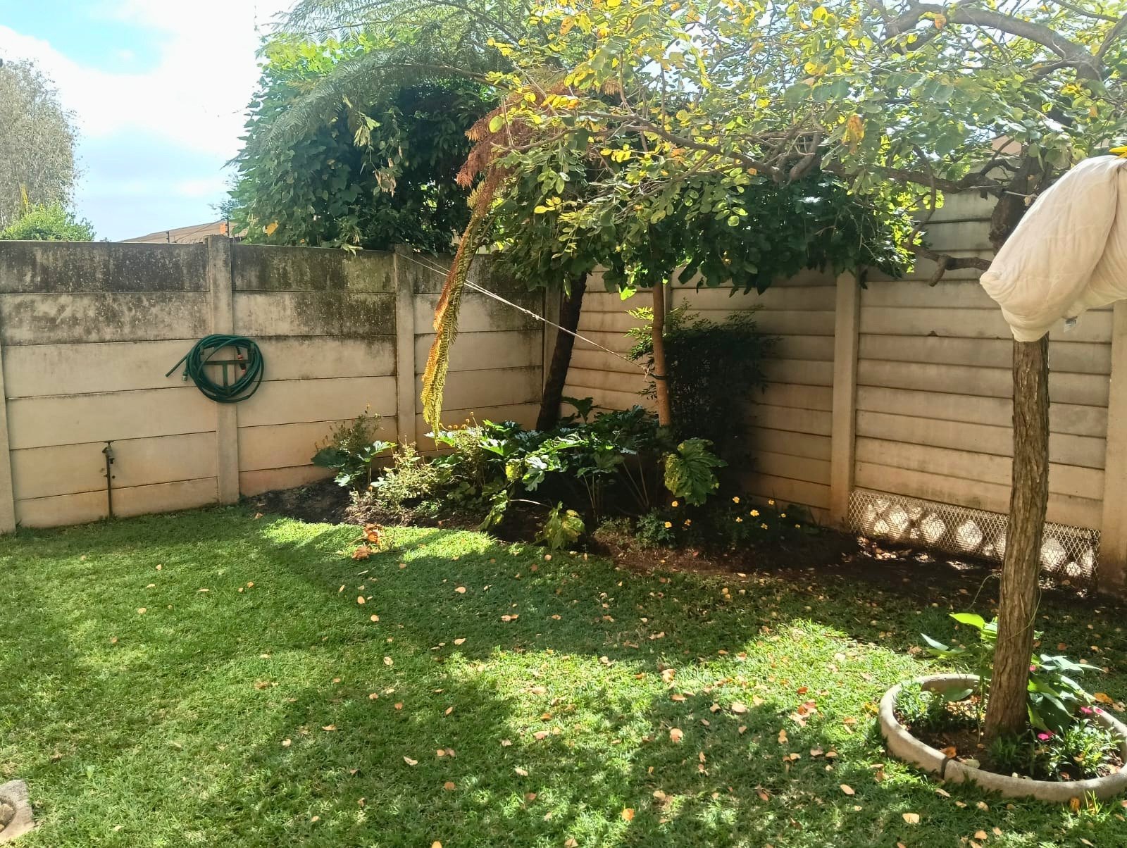 garden 4 – Edited