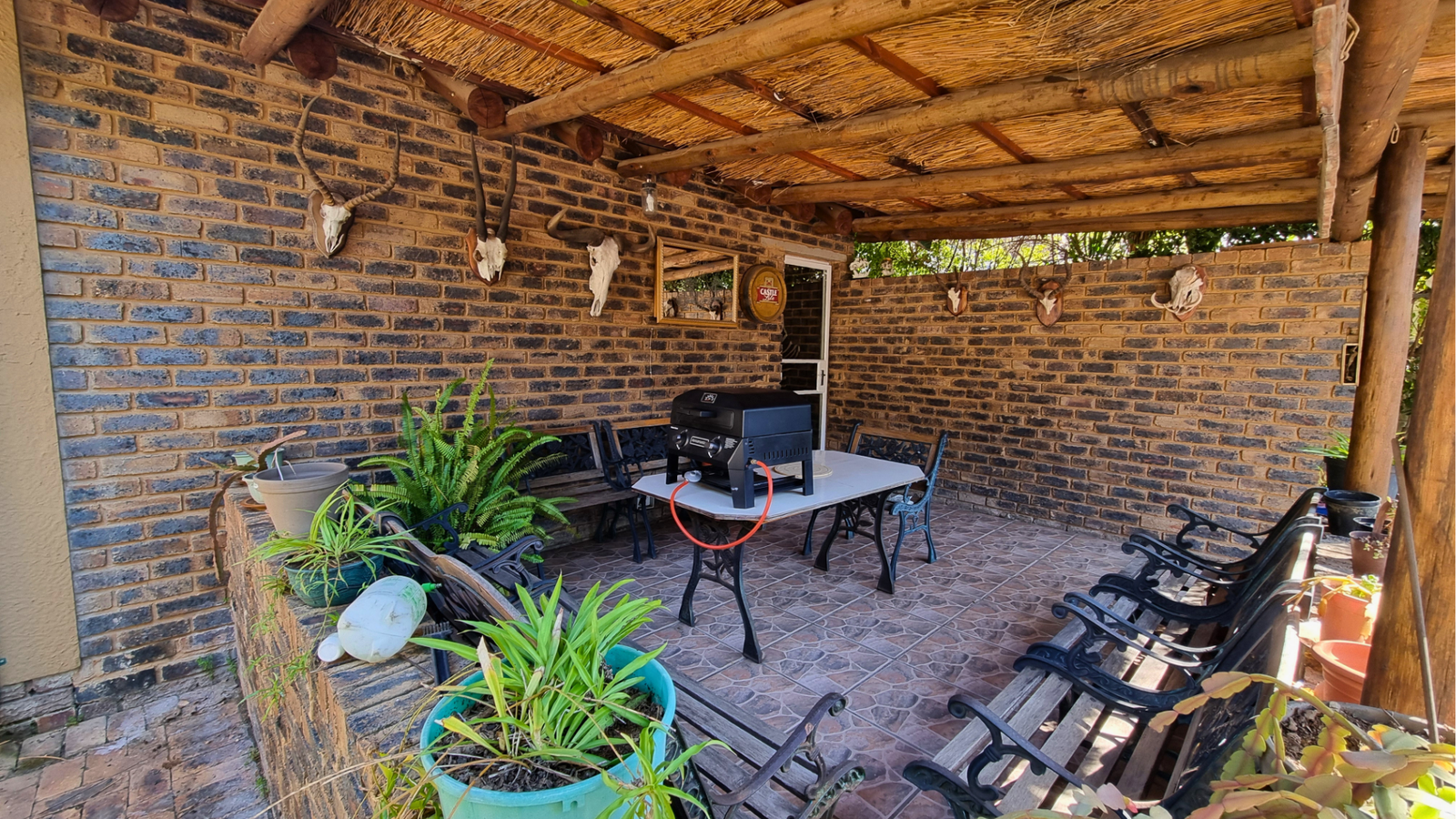 66 Lessing St (23)